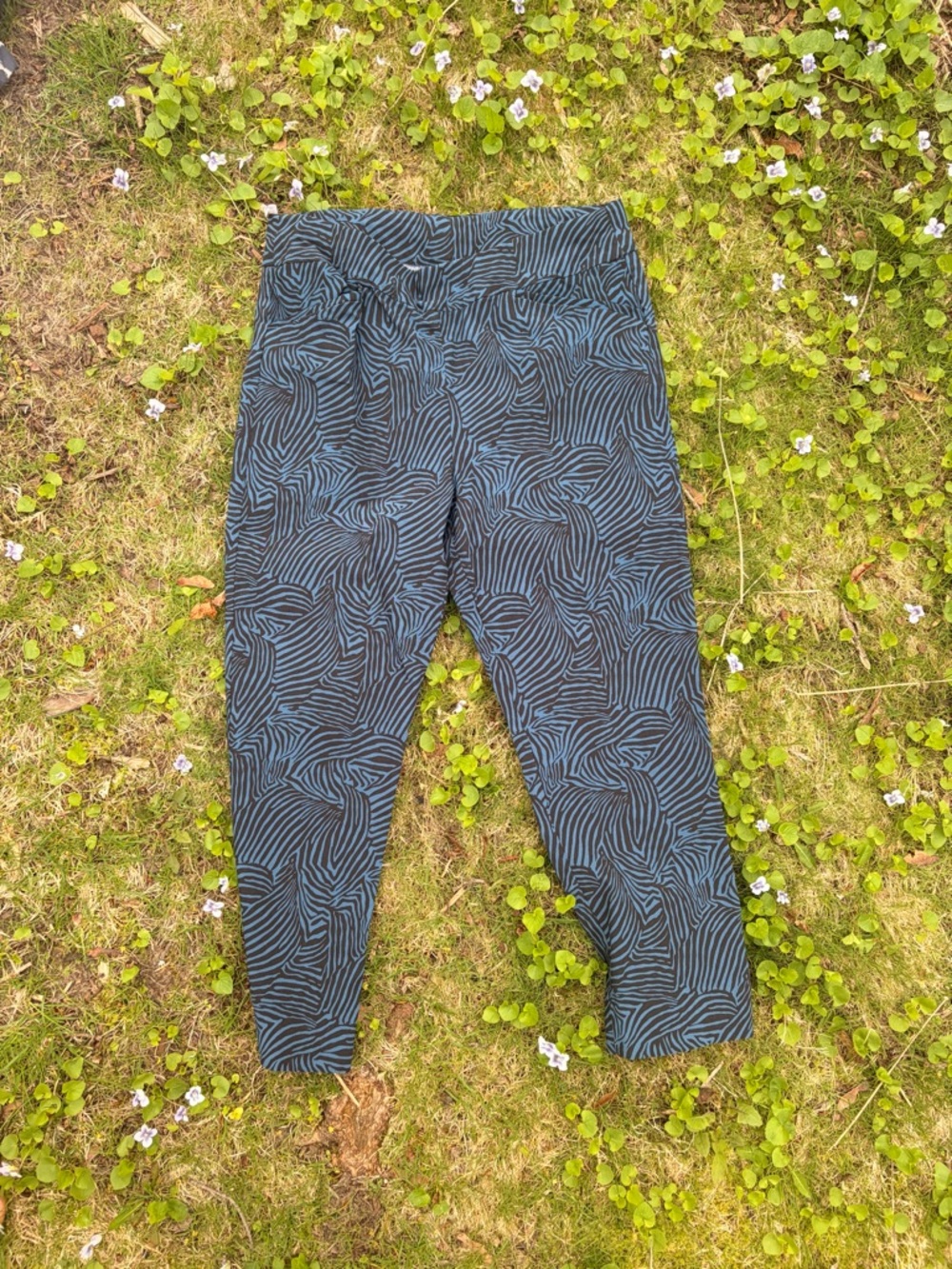 Chico's Blue and Black Zebra Print pants